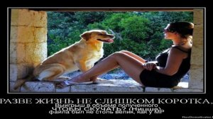 Что такое FLAC в смартфоне, чем отличается от других форматов аудиозаписи