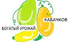 Урожай кабачков. Урожай первых огурцов. Что растет в огороде. Лето. Жаркое лето в Сибири. Лайк