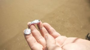 ТОП РАБОЧИХ приманок на ЖЕРЕХА!