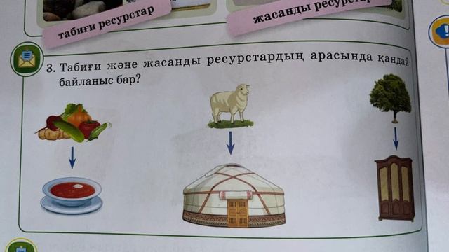 2 сынып Жаратылыстану 17 сабақ