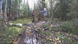 Делаем солонец (решили освежить)