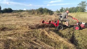 Грабли для мотоблока.