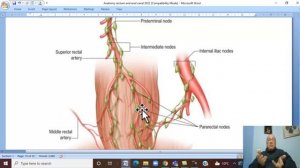 Anatomy GIT Module in English ( Rectum , part 2 ) ,  by Dr, Wahdan