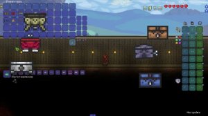 Гайд по музыкальной шкатулке [Terraria]