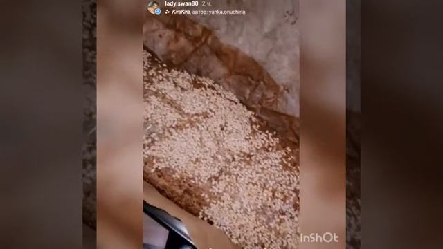 Yeast-free bread. Healthy bread with psyllium. Хлеб бездрожжевой. Полезный хлеб с псиллиумом.