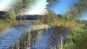 Река Ветлуга