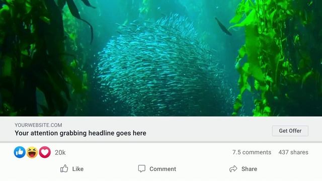 CreateStudio Pro Scroll Stopper Examples for Facebook Ads – смотреть ...