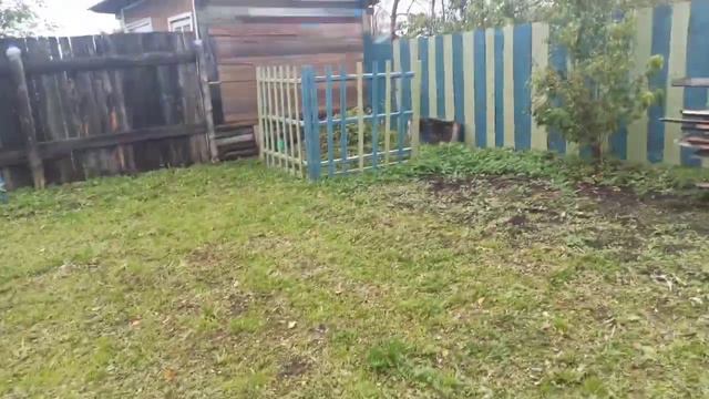 Наша дача🏠/Видео привет из октября👋/Обзорчик чего то новенького на нашем участке 🤗 смотреть онлайн