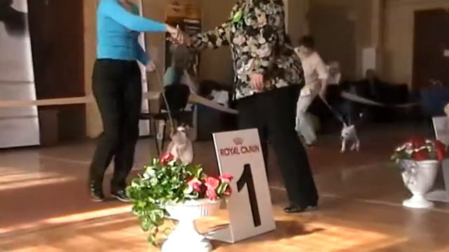 Сравнение беби. смотреть онлайн