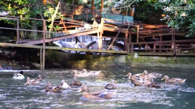 Они сами себе будильники: 3 знака Зодиака всегда просыпаются вовремя смотреть онлайн