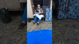Реабилитационная гимнастика собак - спинальников инвалидов