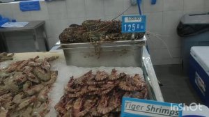 ОАЭ. Шарджа. Набережные, пляжи, парки, рынки, магазины, куры)