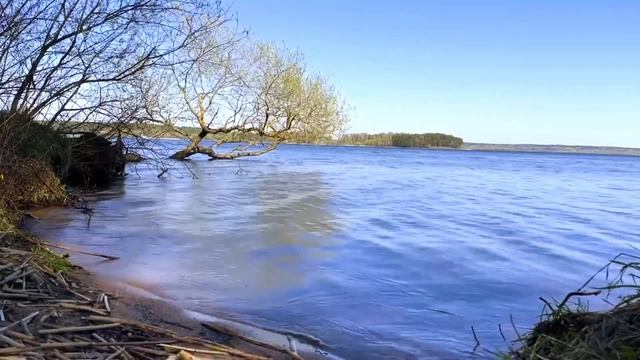 релакс | спокойное видео | музыка для отдыха | природа смотреть онлайн