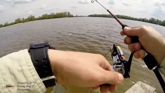 FishUp Lures Diving Bug 2' Stonefly 0 75' Dragonfly Ловля на Съедобный силикон смотреть онлайн