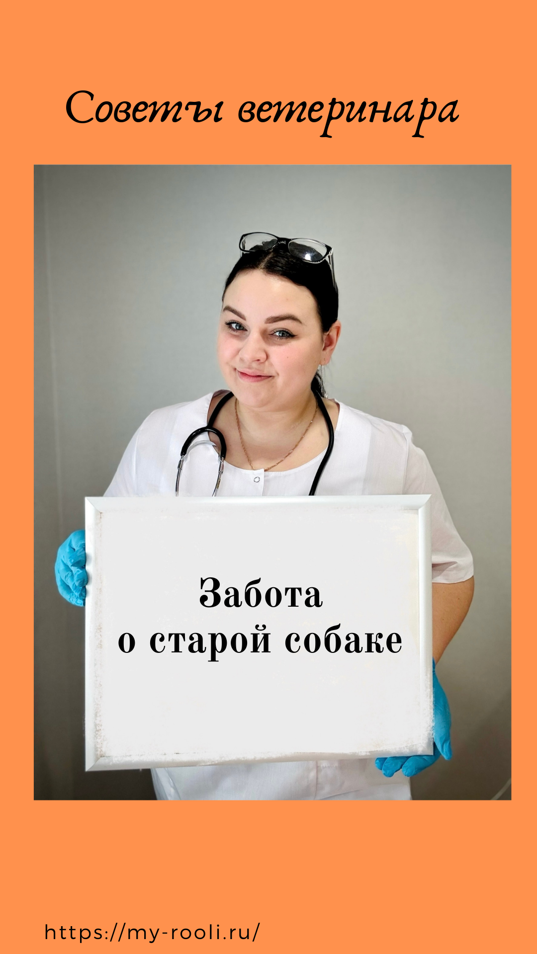 Как позаботиться о старой собаке? Все об уходе и поддержании здоровья собаки.