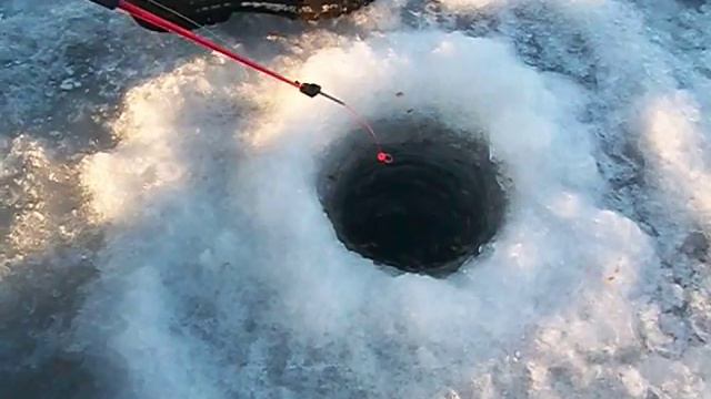 Тестирование мушки смотреть онлайн