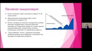 Особливості розвитку та харчування кошенят в різні періоди життя.