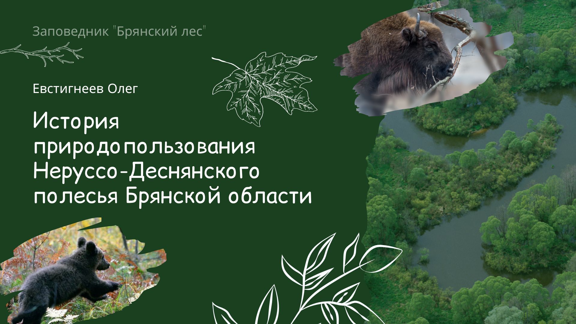 Публичная лекция «История природопользования Неруссо-Деснянского полесья Брянской области»