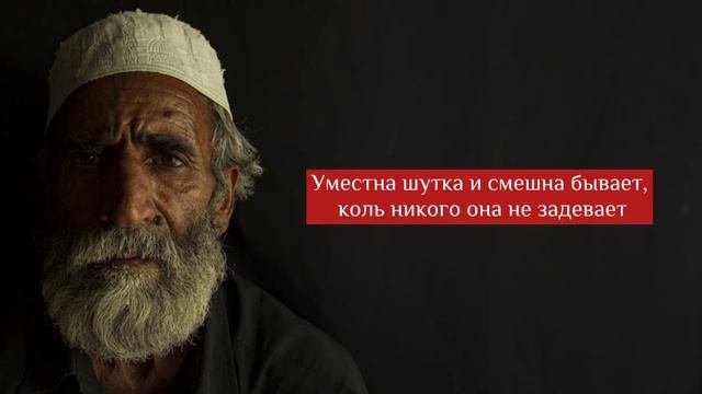 Мудрые Персидские Пословицы И Поговорки | Персидские Афоризмы Которые Вас Впечатлят