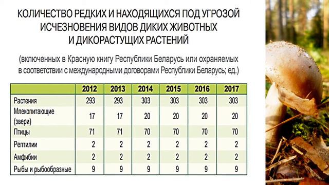 Продуктивность лесов Беларуси. Статистика.Forest productivity in Belarus. Statistics. смотреть онлайн