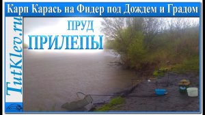 Ловля карася и карпа на фидер. Рыбалка в мае на платном пруду.mp4
