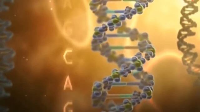 «Познаём мир с книгой»: «Генетика», «Медицина» и «Тайны человека» смотреть онлайн