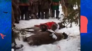 Традиционный праздник народов Ханты и Манси - "Медвежьи игрища"
