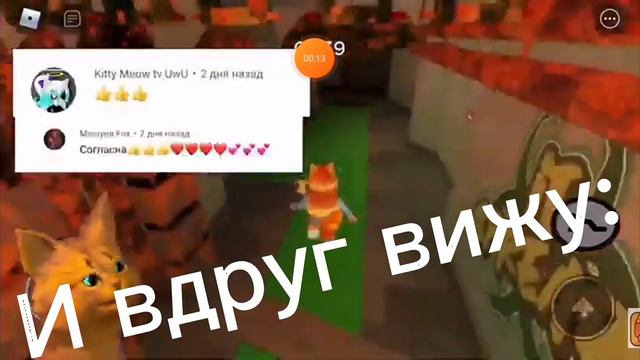 Кошка Апельсинка