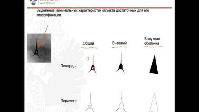 Обработка микроскопических изображений. Лекция 4 смотреть онлайн