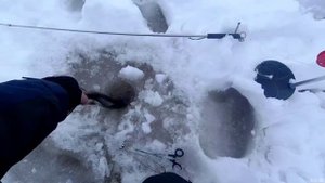 Зимняя рыбалка на жерлицы! Трофейная Щука