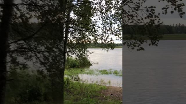 Отличное место для рыбалки😍 #рыбалка #fishing #щука #река #рекабелая