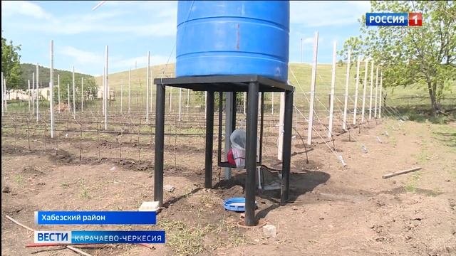 Как проходит посадка яблонь в мини-садах Хабезского района? смотреть онлайн