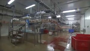 ВАХТА на птицефабрике МО, г. Наро-Фоминск