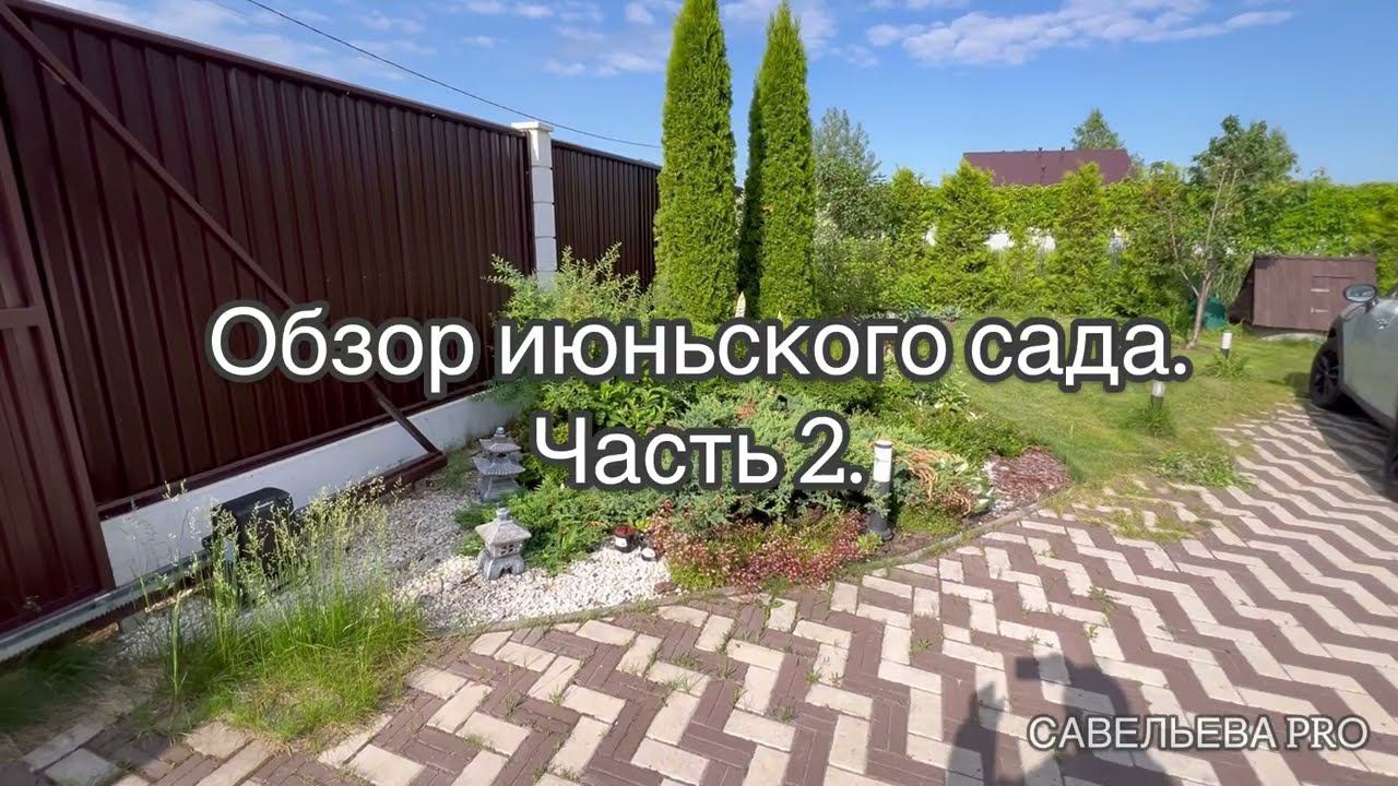 Июньский сад. Как плодотворно началось лето!  Часть 2.
