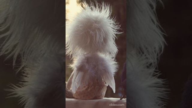 Гордость приводит нервы Мудрая притча, учение слушать онлайн смотреть онлайн