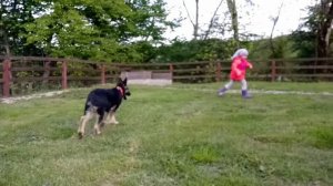 ПИТОМНИК ВЕО ВИВАТ Гранатовая звезда 3 месяца