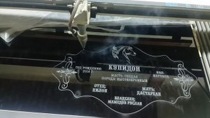 Лазерная резка и гравировка черного акрила