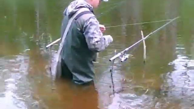 Карелия. "Рыбалка своими глазами"Часть2. 22.05.2010. смотреть онлайн