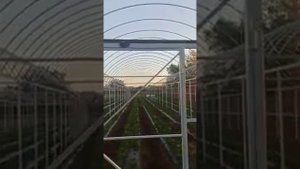 Продолжение постройки теплицы на 10 сотках, для клубники.
