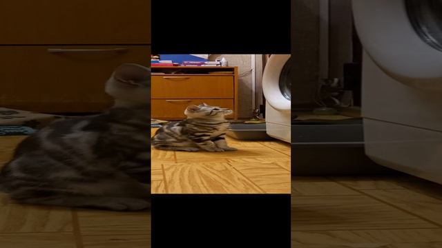 1000002048.mp4 смотреть онлайн