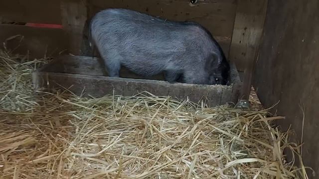 Запрыгнули в последний вагон. смотреть онлайн
