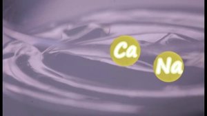 В чем особенность греческого йогурта? | Молочный эксперт. Савушкин продукт