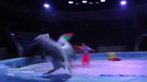 Шоу безграничных возможностей #Мега_микс в Омском цирке