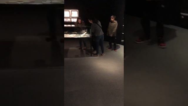 Инсталляция Анатомии в штудгарте смотреть онлайн