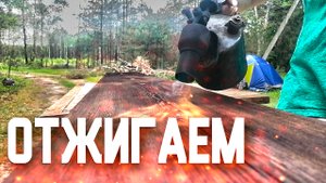 Новая жизнь доски для пола, Красиво и Дешево