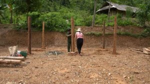 Hien and Khoa Harvesting giant Bamboo shoots go to the market sell, build frame wooden house
