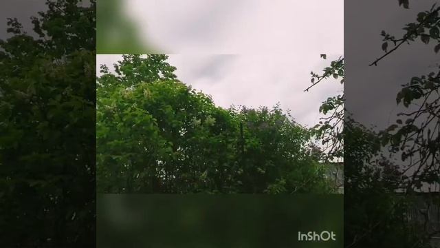 VLOG отдых на даче/Артём fox/ смотреть онлайн