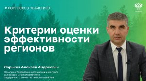 О новых критериях оценки эффективности регионов в области лесных отношений - начальник профильного У