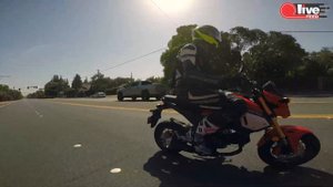2020 Honda Grom / Хонда Гром 2020 | POV Обзор от Первого Лица