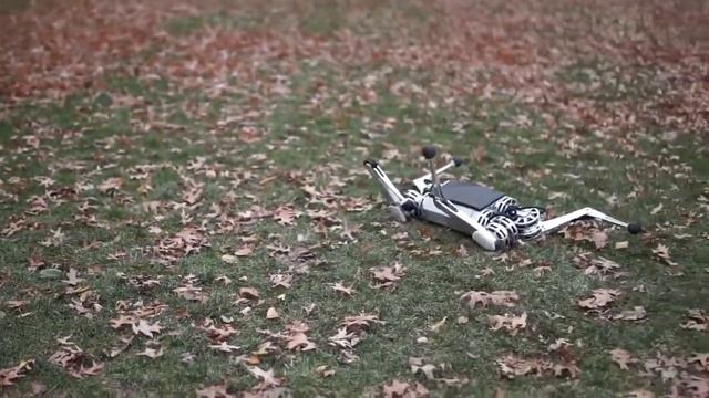 Мини-робот "гепард" смотреть онлайн